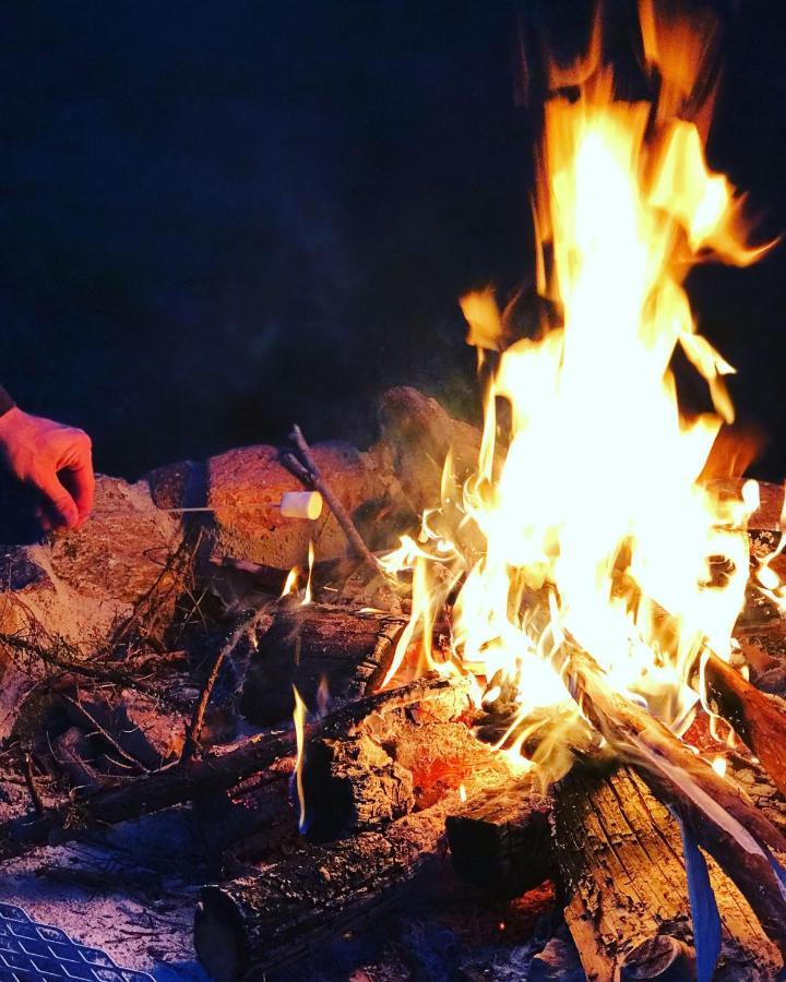 מלון Kohila Kuusehaldja Glamping מראה חיצוני תמונה