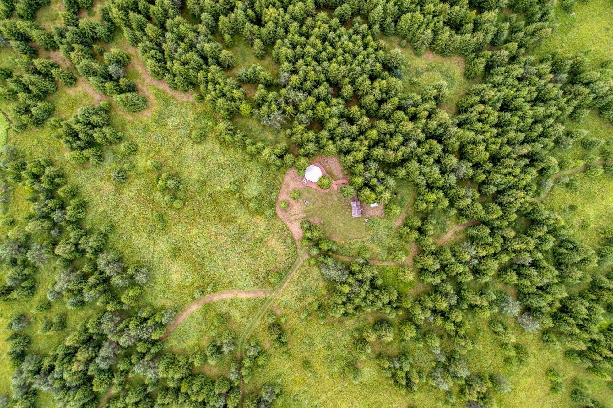 מלון Kohila Kuusehaldja Glamping מראה חיצוני תמונה